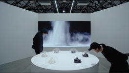 People inspecting carbon